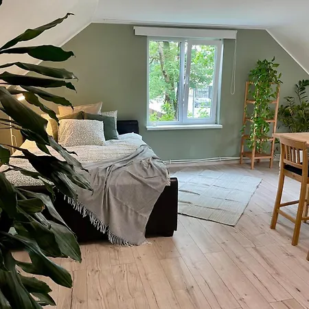 The Oasis Апартаменты