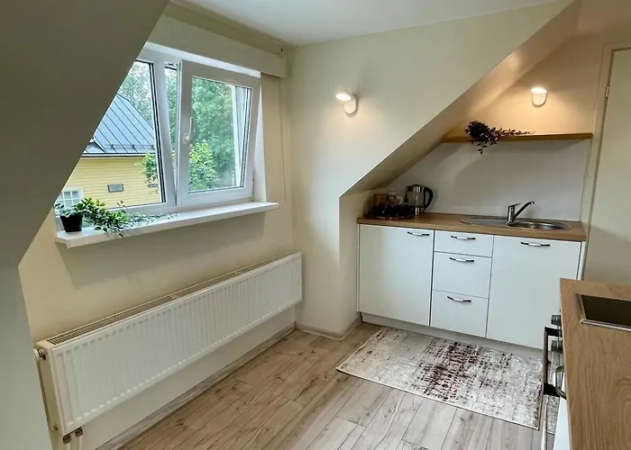 The Oasis Apartment *